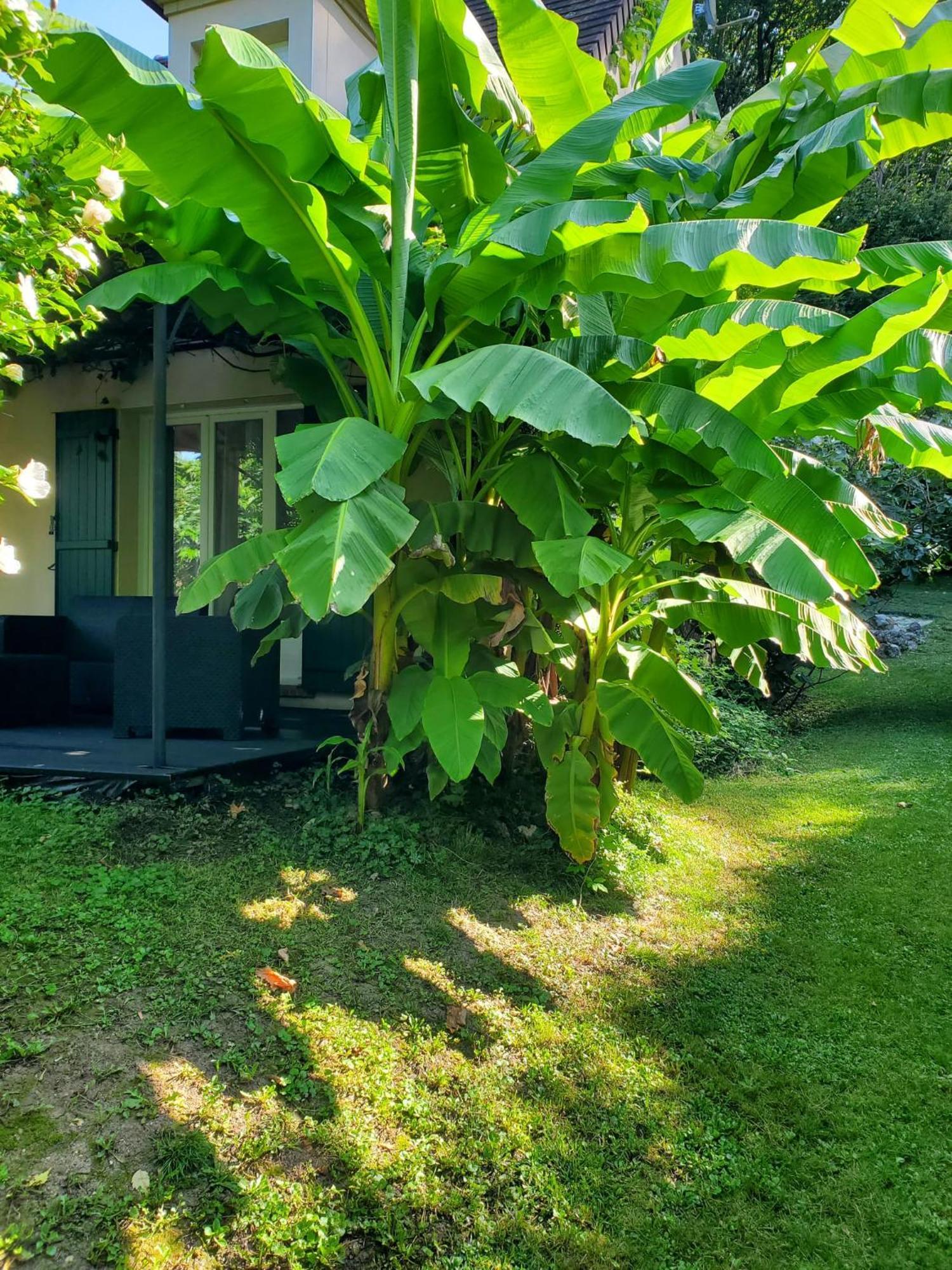 Belle Maison Sud Seine-Et-Marne Rubelles Ngoại thất bức ảnh